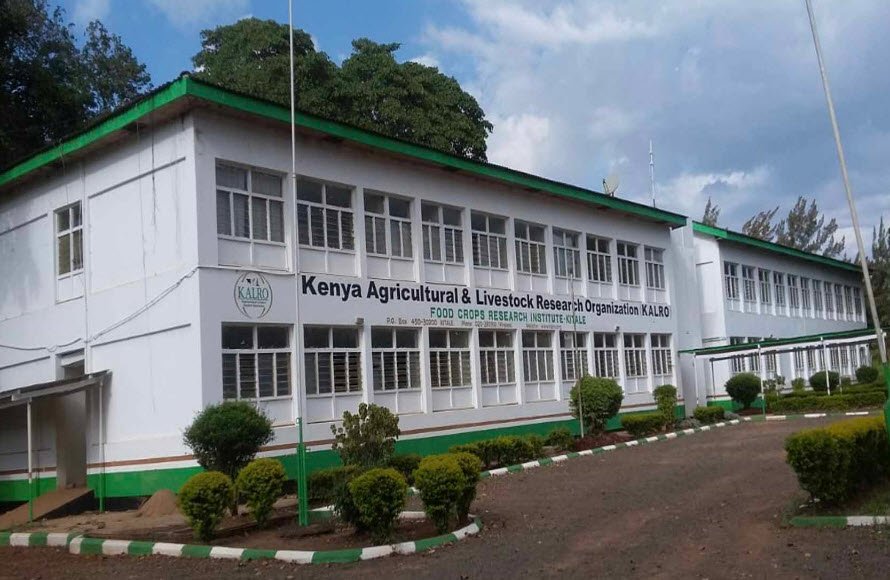 Kenya Agricultural Research Institute - Headquarters, Nairobi, Kenya, Kenya